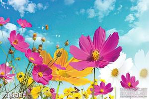 Tranh rừng hoa đầy màu sắc treo tường bếp