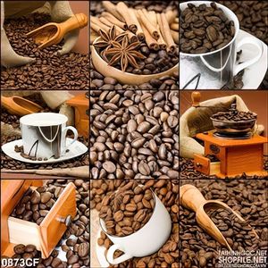 Tranh ghép hạt cà phê treo tường