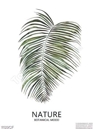 Tranh chiếc lá xanh in trên tường quán cà phê