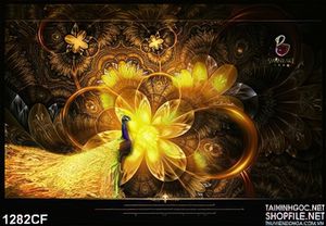 Tranh chim công bên đóa hoa vàng treo tường quá cà phê
