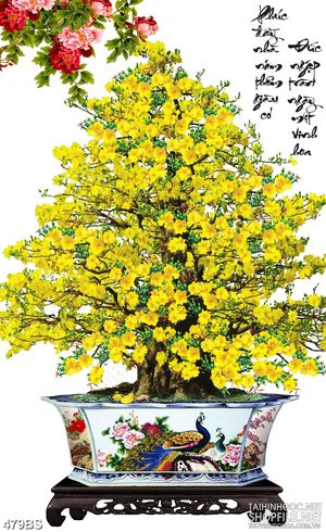 Tranh chậu bonsai in uv mai vàng bên hoa mẫu đơn treo tường