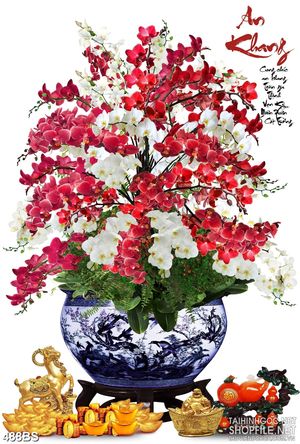 Tranh chậu bonsai in canvas hoa phong lan khoe sắc dán tường
