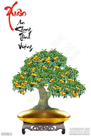 Tranh chậu bonsai cây quất sai trái bên xuân an khang nghệ thuật