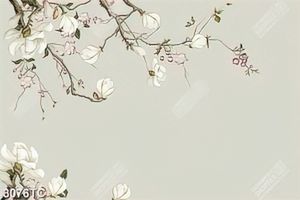Tranh hoa mộc lan in giấy dán tường đẹp