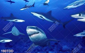File tranh psd tranh cá mập dưới đáy đại dương