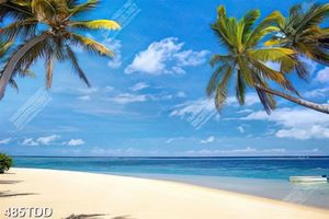 Tranh phong cảnh hàng dừa trên biển