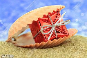 File tranh gốc con sò và hộp quà trang trí