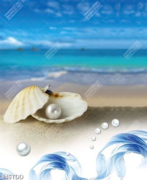 Tranh vỏ sò trên biển chất lượng cao