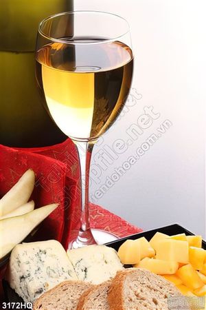 Tranh rượu