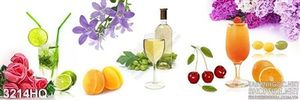 Tranh nước ép các loại