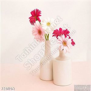 Tranh hoa đồng tiền trang trí treo tường