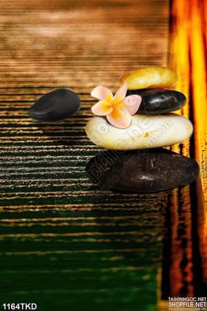 Tranh Spa trang trí tường