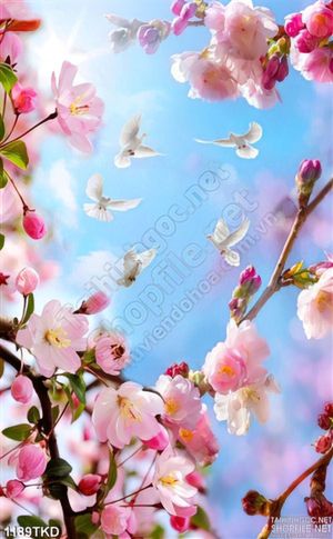 Tranh trần nhà xuyên sáng hoa đào