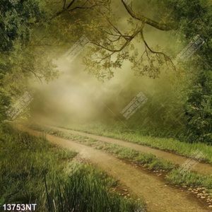 Tranh con đường đi qua khu rừng