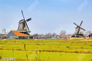 Tranh cối xay gió 14754NT