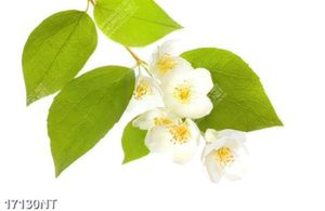 Tranh đẹp treo tường