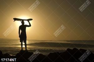 Tranh treo tường trang trí nghệ thuật