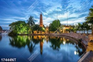 Tranh treo tường trang trí nghệ thuật