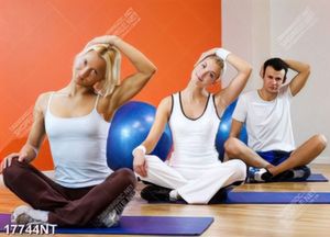 Tranh phong gym phong cảnh nghệ thuật đẹp