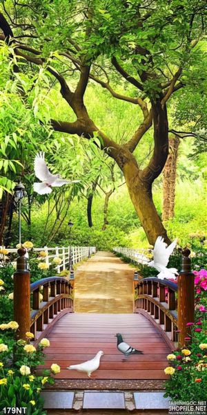 Tranh cây cầu đi vào khu rừng