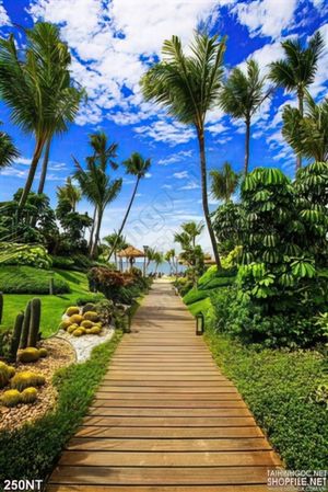 Tranh phong cảnh khu resort