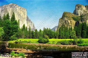 Tranh dãy núi và khu rừng thông