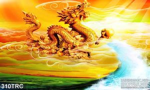 Tranh nghệ thuật rồng thiêng vượt vũ môn in kính