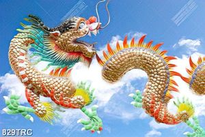 Tranh Rồng trên bầu trời in siêu nét