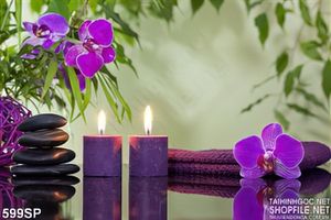 Tranh ánh nến tím thư giãn và hoa lan