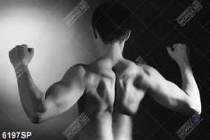 Tranh thân hình cơ bắp SP6197