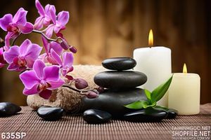 Tranh hoa cảnh in uv spa