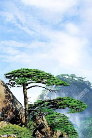 Tranh phong cảnh đỉnh núi đẹp chất lượng cao