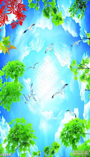 Tranh trần đàn hải âu và bầu trời xanh in uv