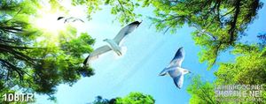 Tranh trần đàn hải âu trắng bên rừng cây xanh 3d