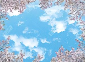 Tranh dán trần nghệ thuật bầu trời đẹp in canvas