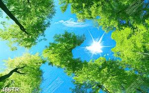 Tranh dán trần in uv bầu trời đẹp và những tán cây xanh