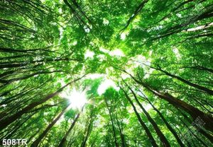 Tranh dán trần nghệ thuật rùng cây xanh lá in uv