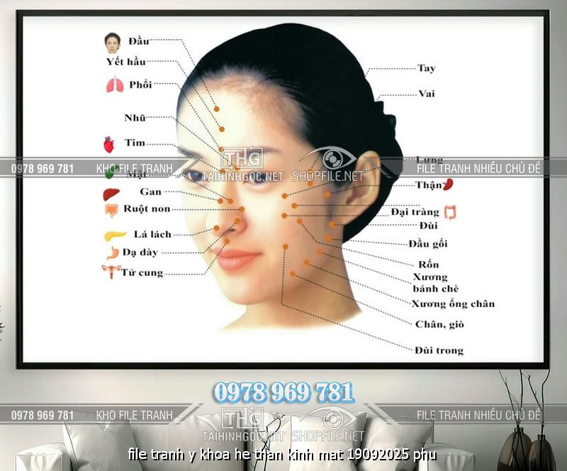 file tranh y khoa he than kinh mat 19092025 phu