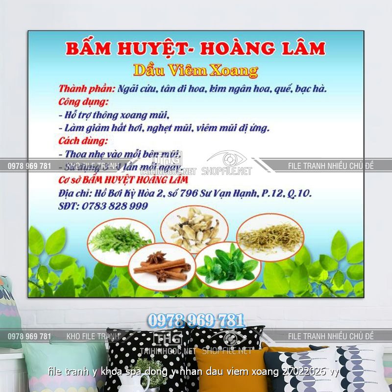 file tranh y khoa spa dong y nhan dau viem xoang 27022026 vy