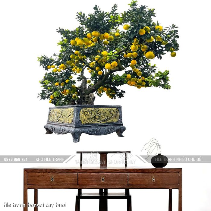 file tranh bonsai cay buoi