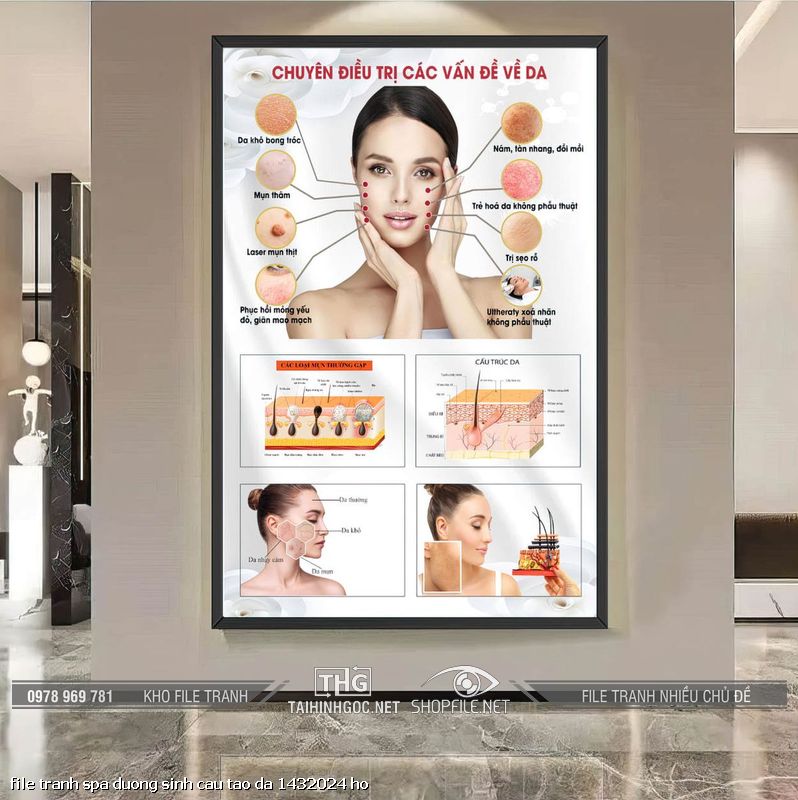 file tranh spa duong sinh cau tao da 1432024 ho