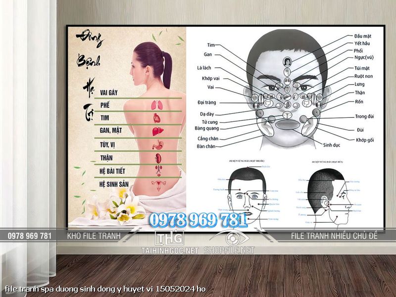 file tranh spa duong sinh dong y huyet vi 15052024 ho