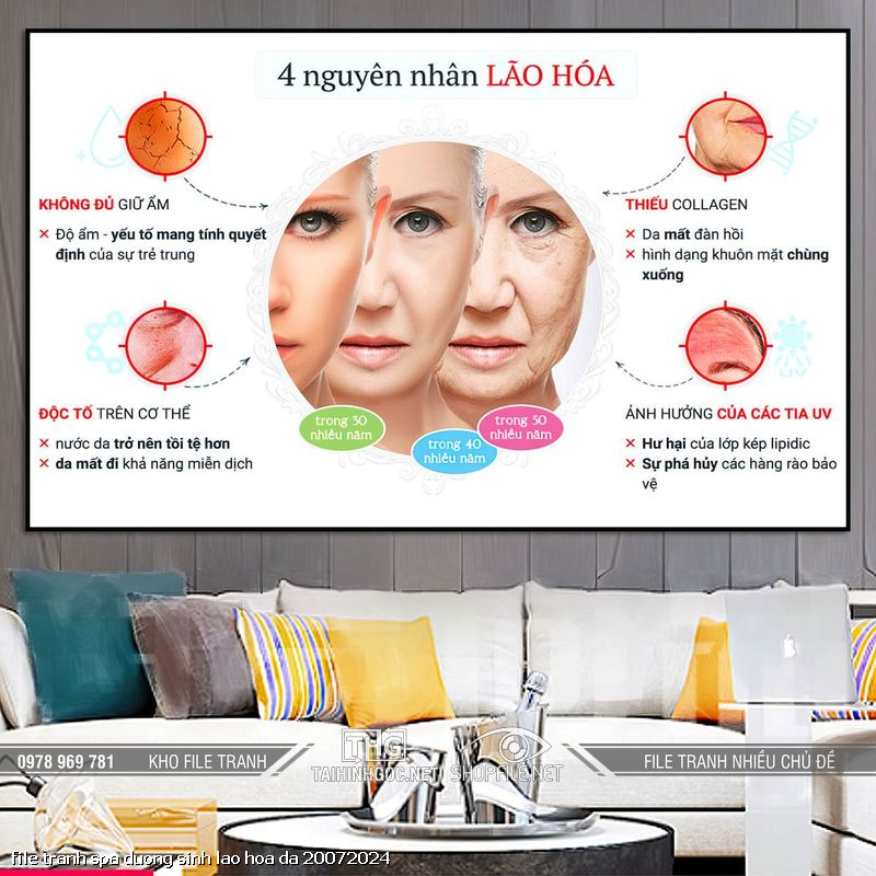 file tranh spa duong sinh lao hoa da 20072024