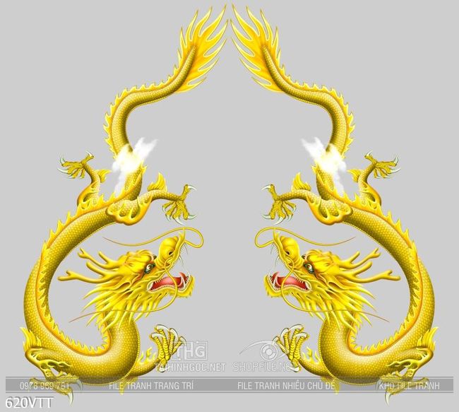 File PSD cặp rồng vàng 2024
